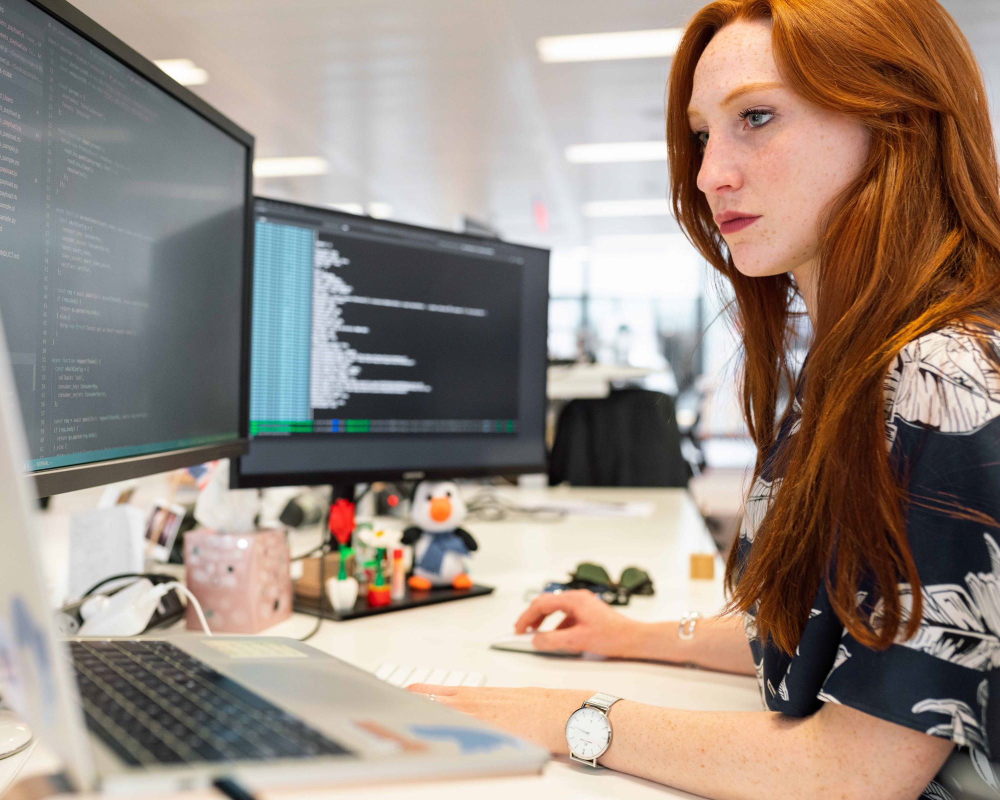 what-is-a-web-developer